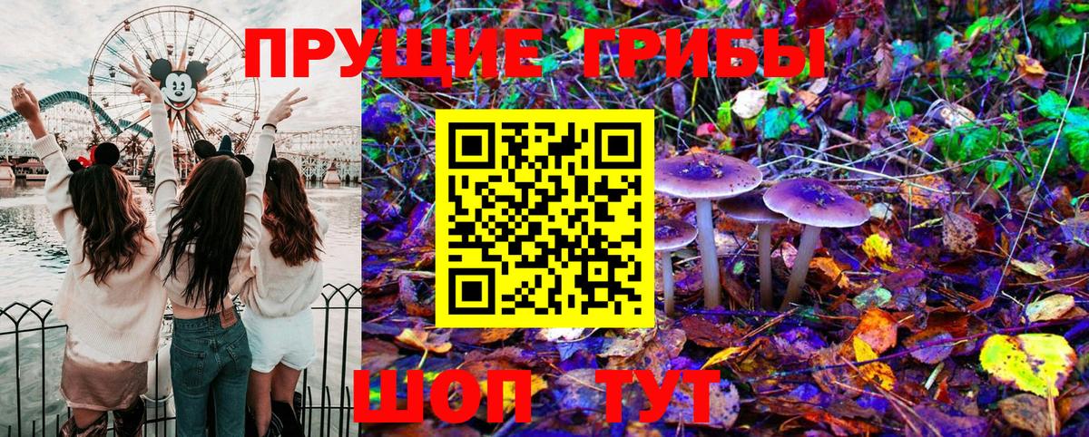 Алушта  Галлюциногенные грибы прущие грибы  Вход с VPN 