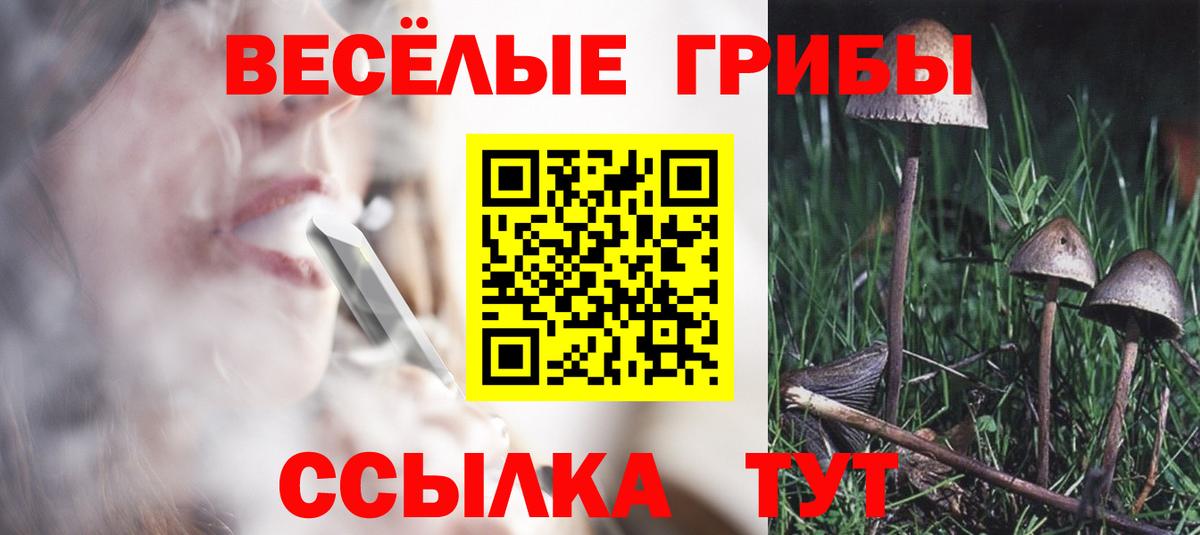 Псилоцибиновые грибы GOLDEN TEACHER Алушта